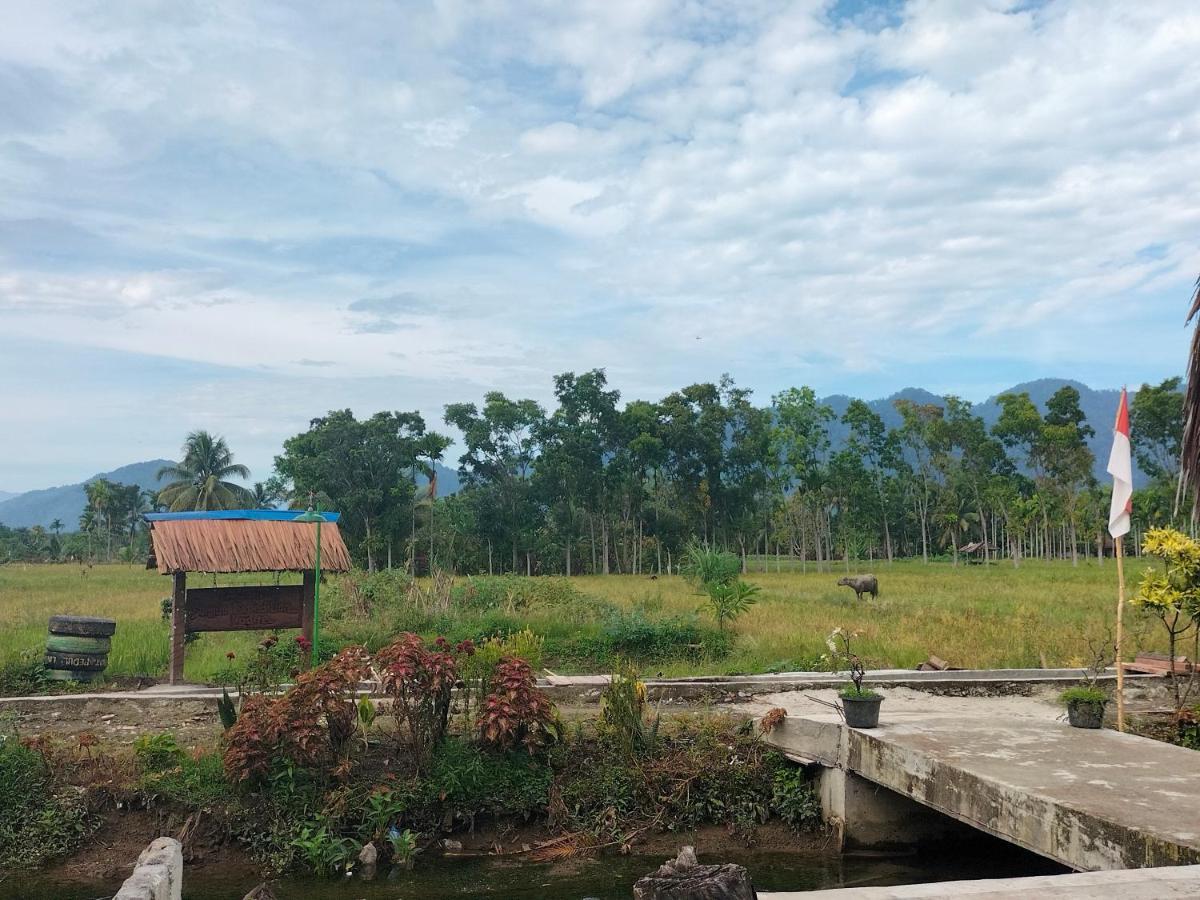 Sumatra Expedition Lodge Bukit Lawang Kültér fotó