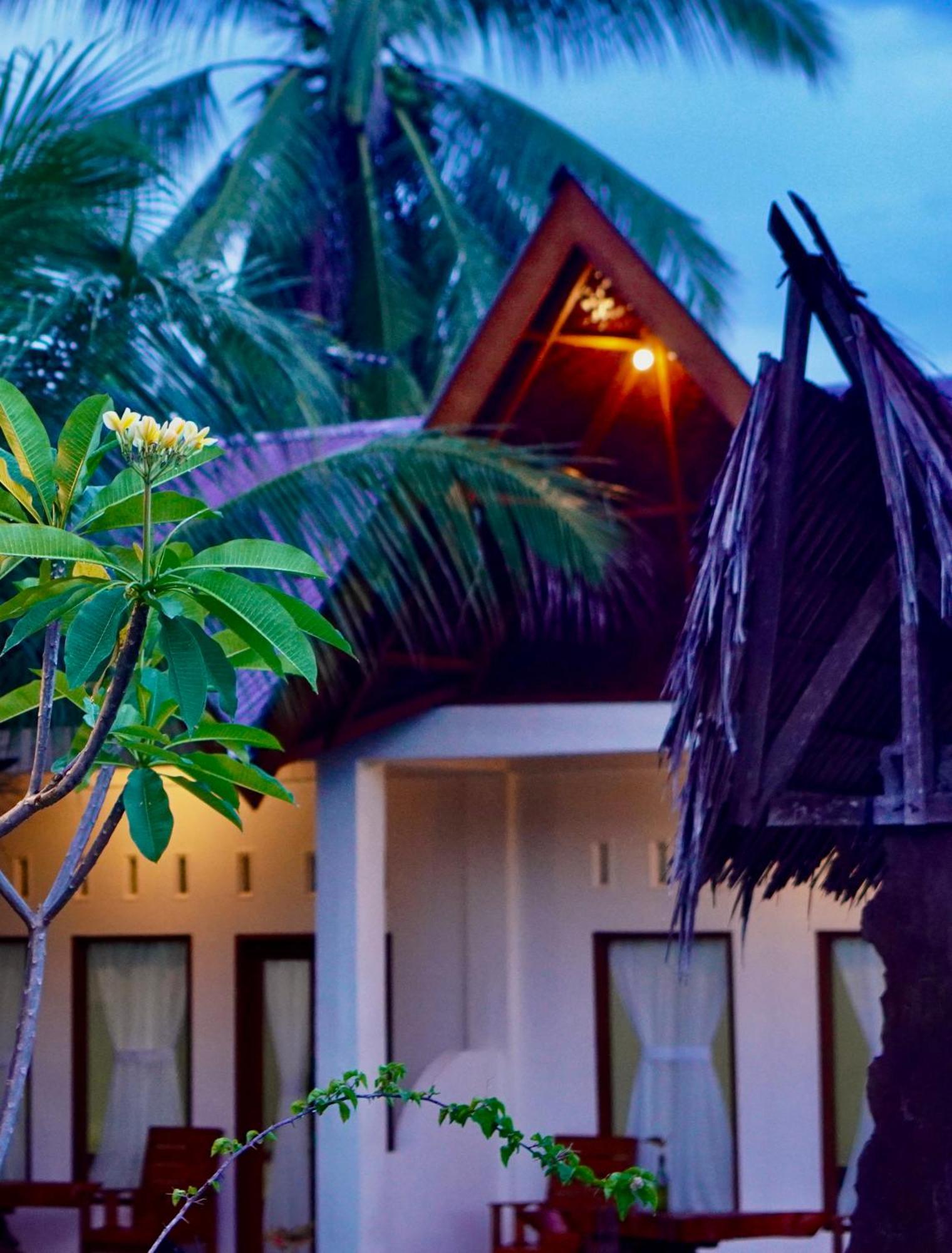 Sumatra Expedition Lodge Bukit Lawang Kültér fotó