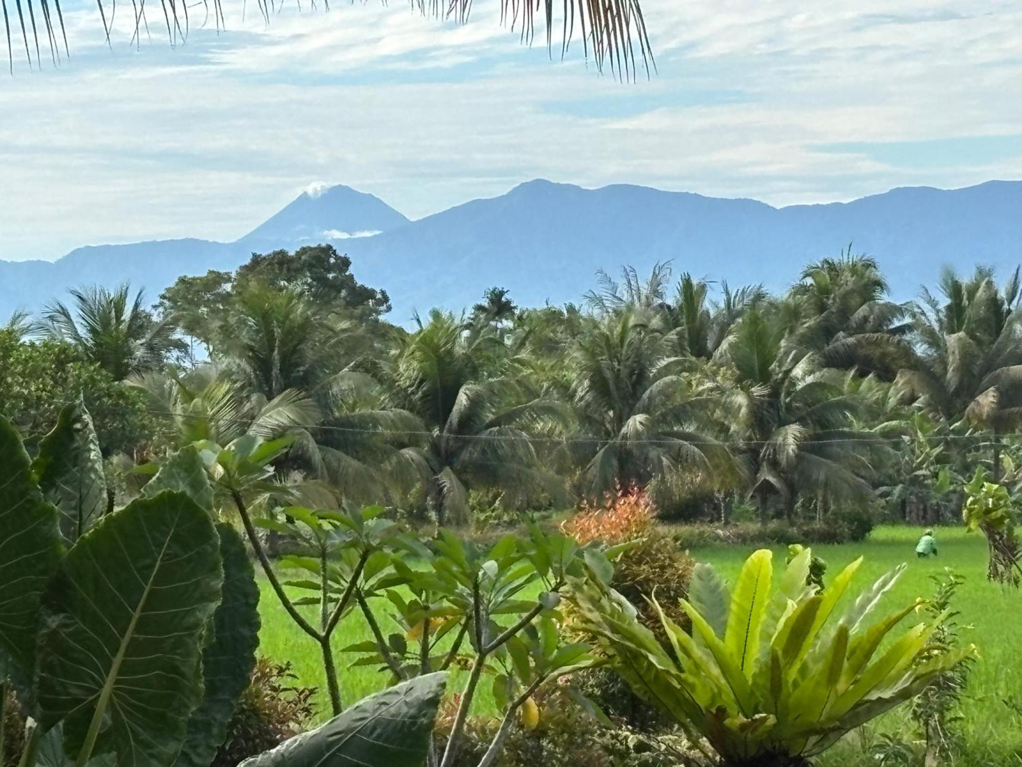 Sumatra Expedition Lodge Bukit Lawang Kültér fotó