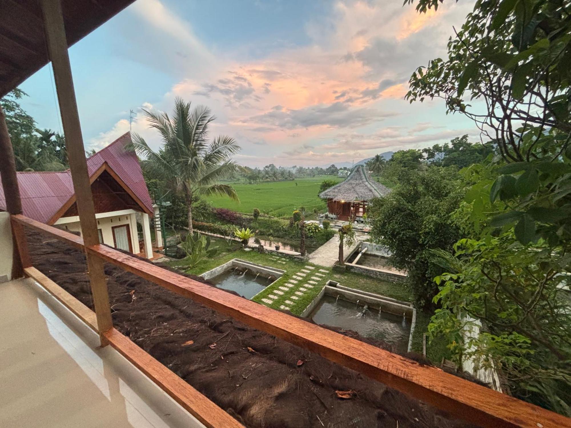 Sumatra Expedition Lodge Bukit Lawang Kültér fotó