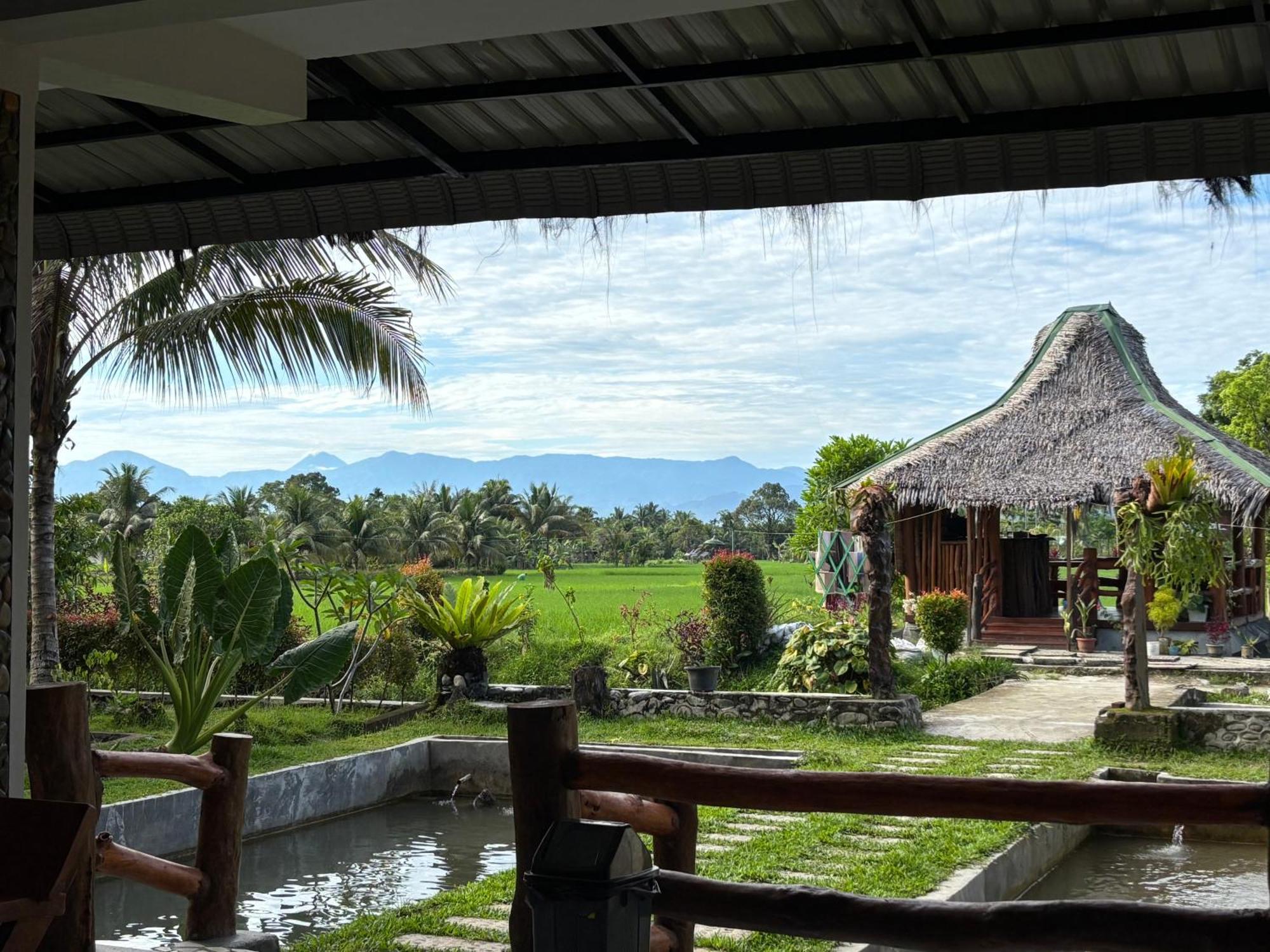 Sumatra Expedition Lodge Bukit Lawang Kültér fotó