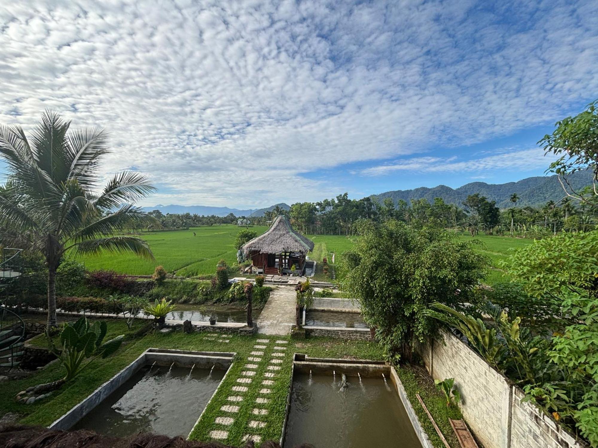 Sumatra Expedition Lodge Bukit Lawang Kültér fotó